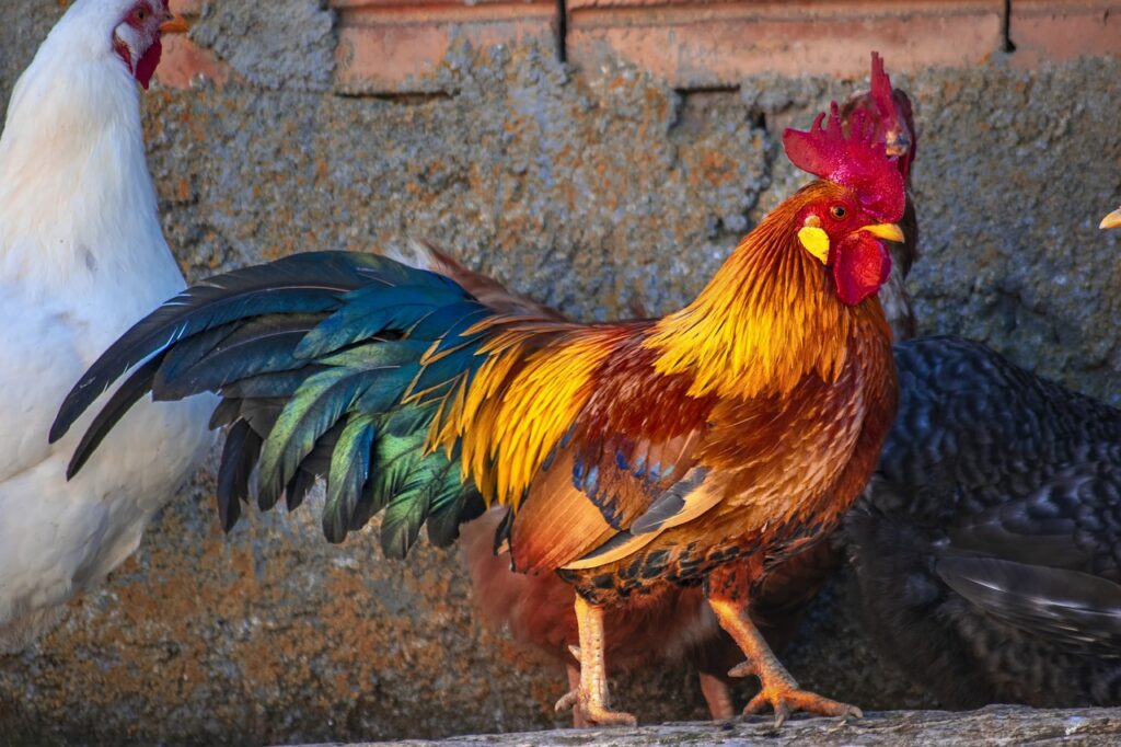 必要最低限の出費リストを作成する方法は？