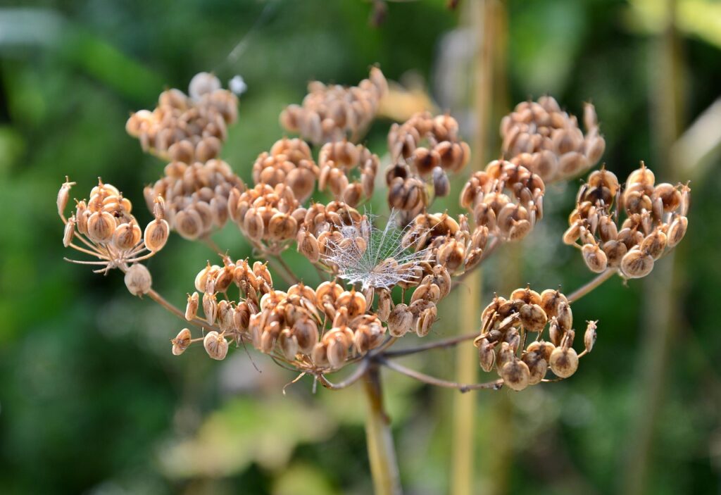 借金が終わったあとに必要な生活立て直しの方法は？