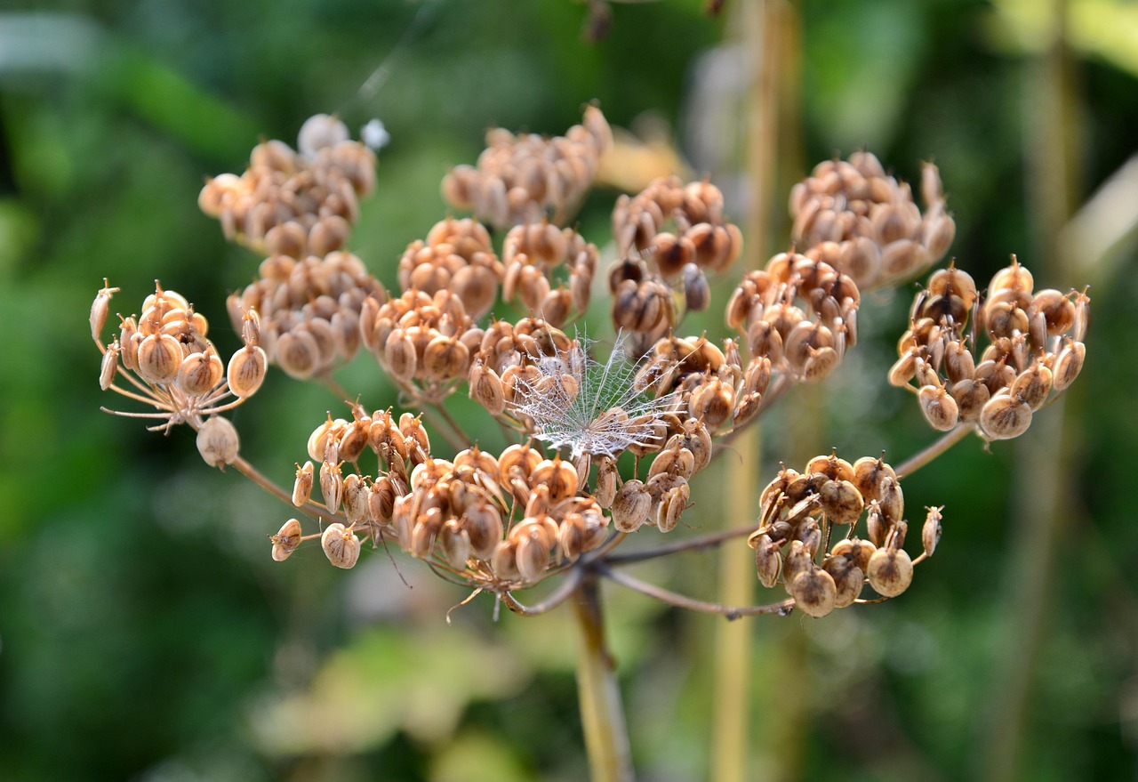 借金が終わったあとに必要な生活立て直しの方法は？