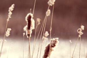 借金が終わったあとに立ち直りを図るための方法は？