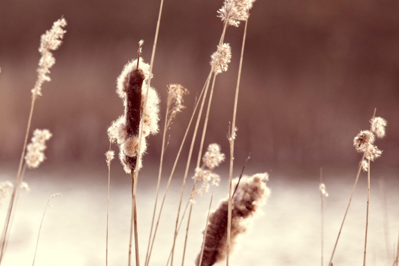 借金が終わったあとに立ち直りを図るための方法は？