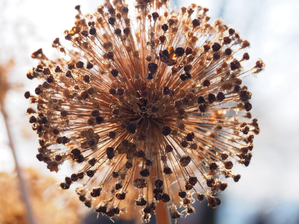 借金が終わったあとに試したい貯金方法は？