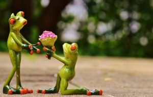 借り換えを考える主婦に最適な方法はどれがいい？